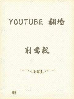 YOUTUBE 翻墙